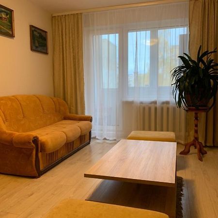 Cosy Appartment In Great Location Kaunas Esterno foto